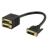 DVI-D Y splitter, 0.15 m, m/f